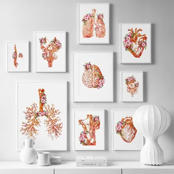  Медицина Анатомия На Сърцето Леки Мозъка На Стенно Изкуство, Печат На Платно Картина Скандинавски Плакат Д-Р Офис Стенни Картина За Вашия Интериор Дневна